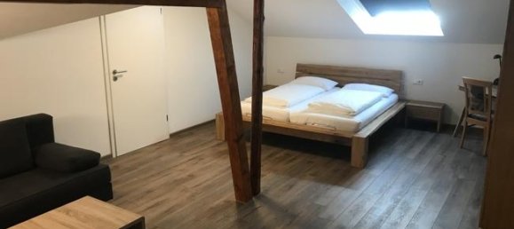 925m² Hotel in Enzkreis, Germany No. 17889 10