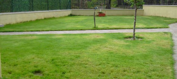 6-Zimmer Haus in Santa Fiora, Italy, Nr. 256259 2