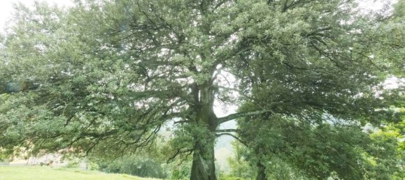 7 bedrooms Villa in Palazzuolo sul Senio, Italy No. 148817 14