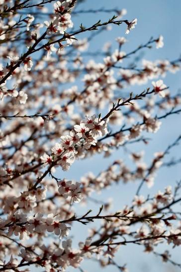 Земельный участок 192000м² в Толедо, Испания № 243046