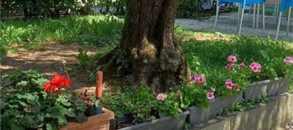 6 bedrooms House in Brenna, Italy No. 362325 24