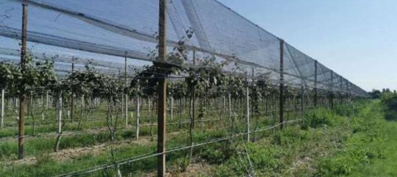 7 bedrooms Apartment in Ravenna, Italy No. 362511 4