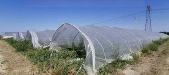 7 bedrooms Apartment in Ravenna, Italy No. 362511 6