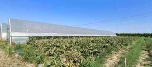 7 bedrooms Apartment in Ravenna, Italy No. 362511 7