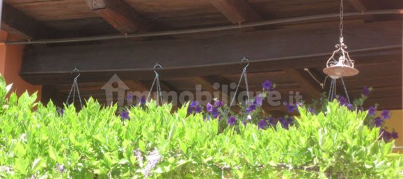 Дом с 8 спальнями в Понтераника, Италия № 80931 23