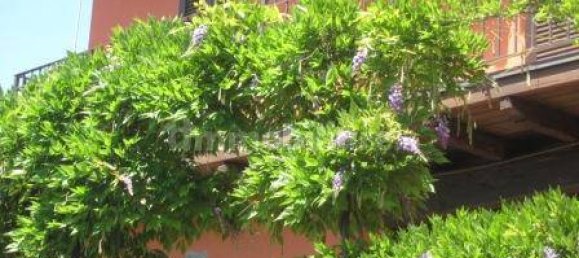 Дом с 8 спальнями в Понтераника, Италия № 80931 24