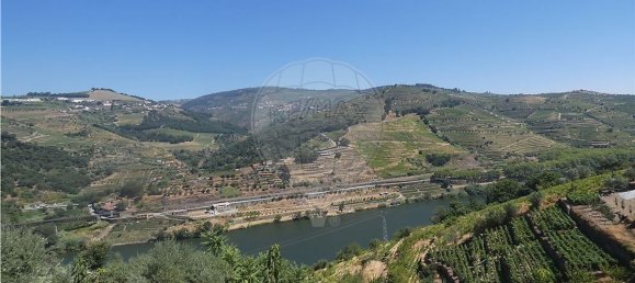 4436m² Land in Penajoia, Portugal No. 92148 9