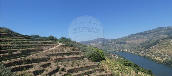 4436m² Land in Penajoia, Portugal No. 92148 8