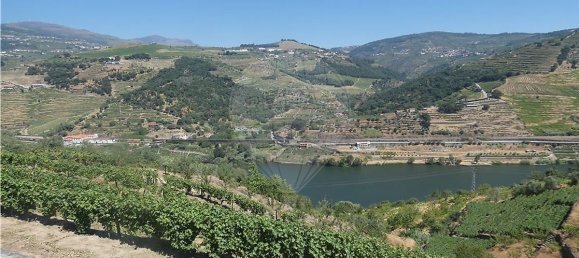 4436m² Land in Penajoia, Portugal No. 92148 2