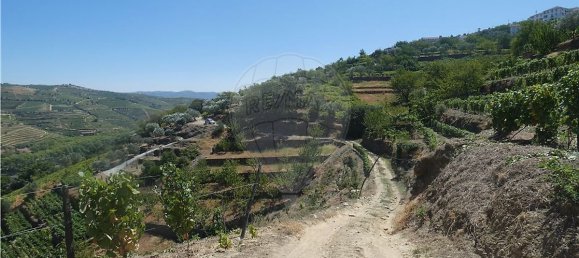 4436m² Land in Penajoia, Portugal No. 92148 6