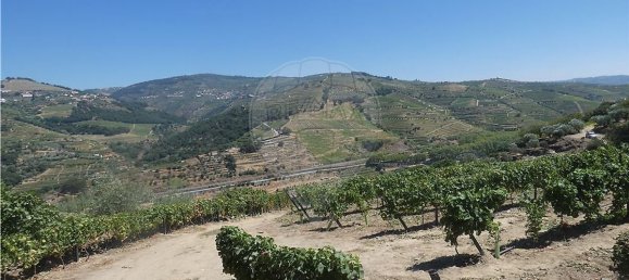 4436m² Land in Penajoia, Portugal No. 92148 4