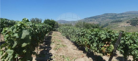 4436m² Land in Penajoia, Portugal No. 92148 3