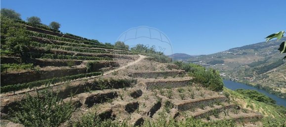 4436m² Land in Penajoia, Portugal No. 92148 7