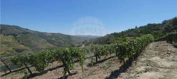 4436m² Land in Penajoia, Portugal No. 92148 5