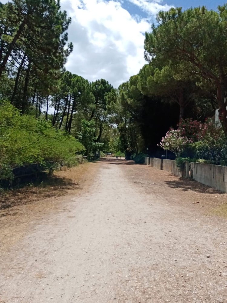 3غرفة منزل في Comacchio, Italy رقم 172423