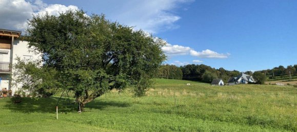 3 rooms Bungalow in Markt Allhau, Austria No. 212460 4