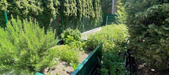 5-Zimmer Haus in Bad Vöslau, Austria, Nr. 202605 13