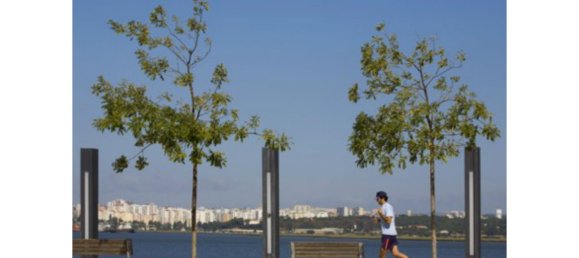 3 bedrooms Apartment in Seixal, Portugal No. 138489 63