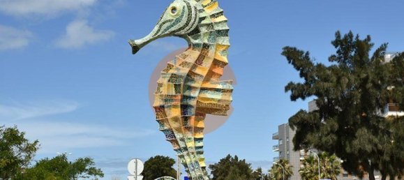 2536m² Land in Loule, Portugal No. 107850 15