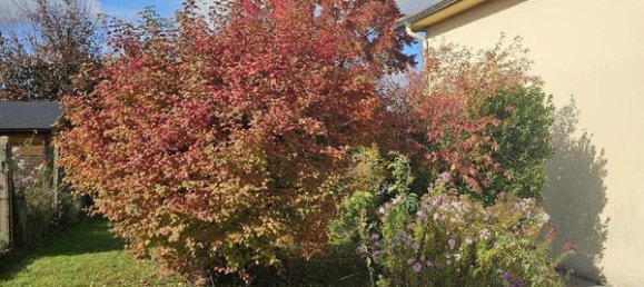 4 Schlafzimmer Haus in Metz, France, Nr. 271344 13