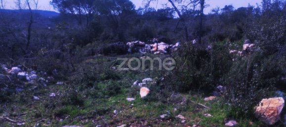 Terreno en Ansiao, Portugal 1000 m² No. 86063 19