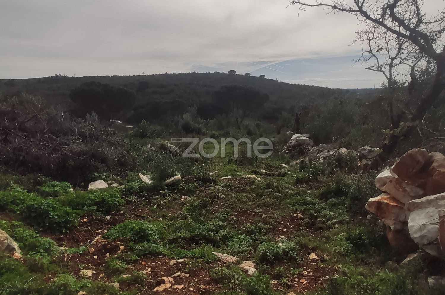 Terreno en Ansiao, Portugal 1000 m² No. 86063