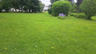 Terreno em Edt bei Lambach, Austria N.º 48403