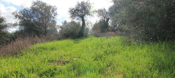 Отель, гостиница 5000м² в Керкира, Греция № 5176 3