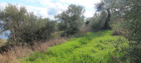 Отель, гостиница 5000м² в Керкира, Греция № 5176 4