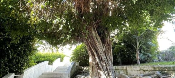 Apartamento T3 em Marbella, Spain N.º 40602 22