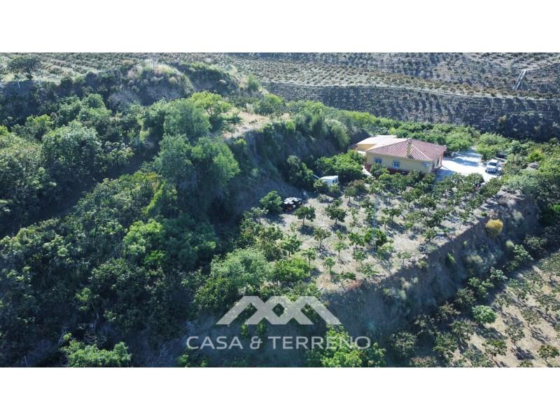 Дом с 3 спальнями в Бенамокарра, Испания № 56432