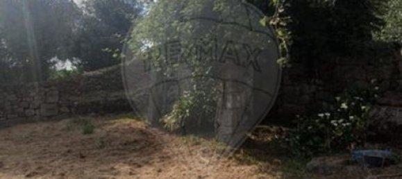 4 bedrooms House in Abadim, Portugal No. 41971 14