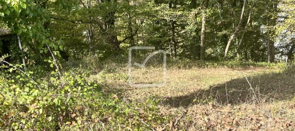 6744m² Land in Correze, France No. 96002 3