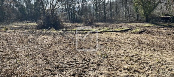 6744m² Land in Correze, France No. 96002 6