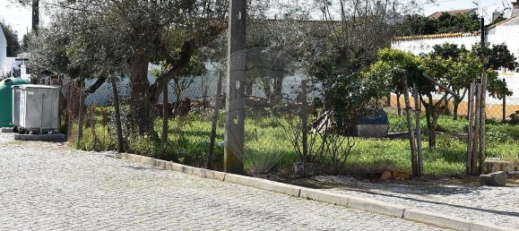 Дом с 1 спальней в Авиш, Португалия № 164821 16