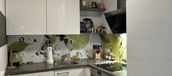 2 rooms Apartment in Ebreichsdorf, Austria No. 165520 13