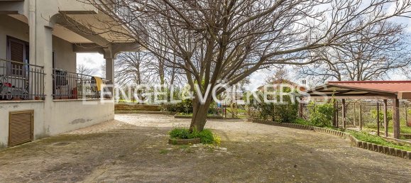 2 Schlafzimmer Wohnung in Albano Laziale, Italy, Nr. 67657 7