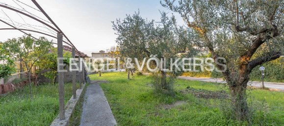 2 Schlafzimmer Wohnung in Albano Laziale, Italy, Nr. 67657 5