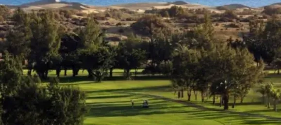 قطعة أرض في San Bartolome De Tirajana, Spain 40000متر مربع رقم 169773 3