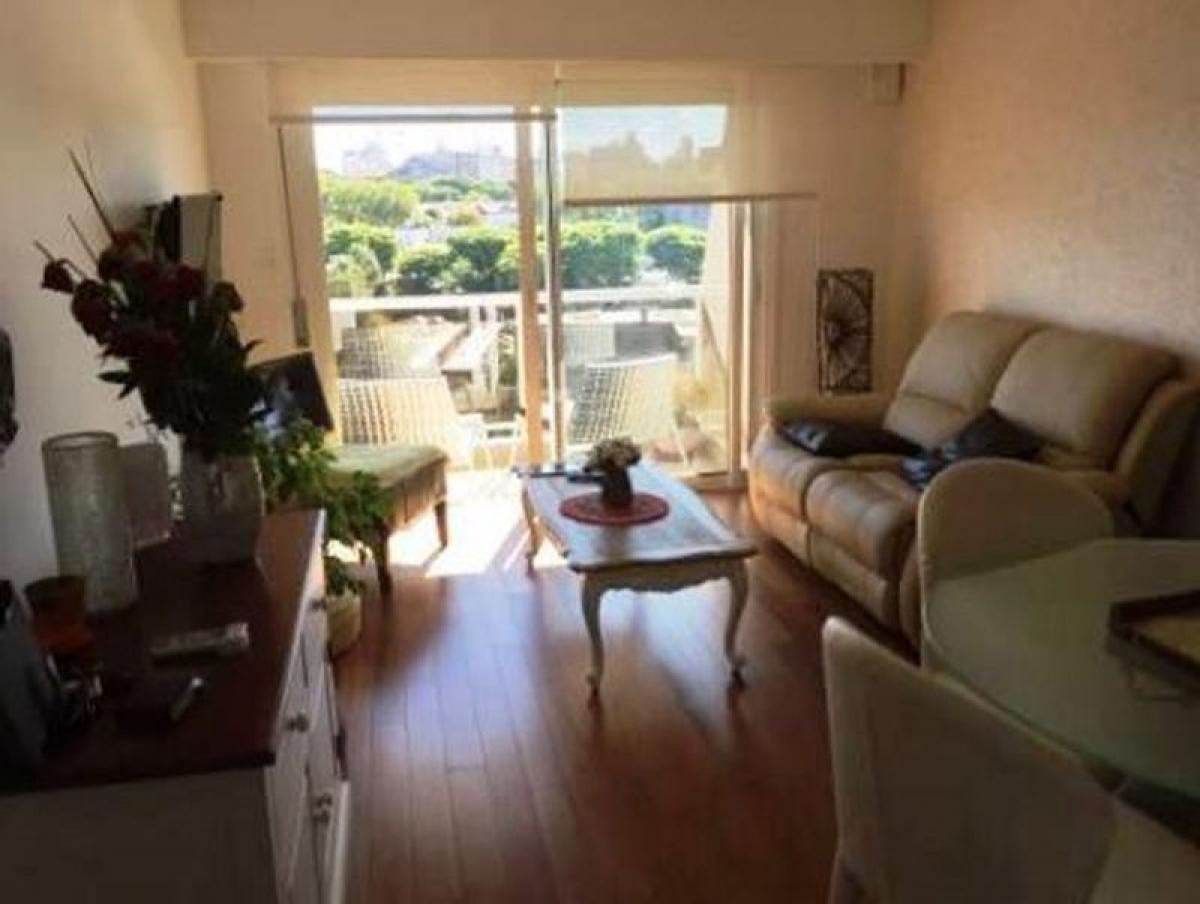 Studio in Montevideo, Uruguay, Nr. 1347