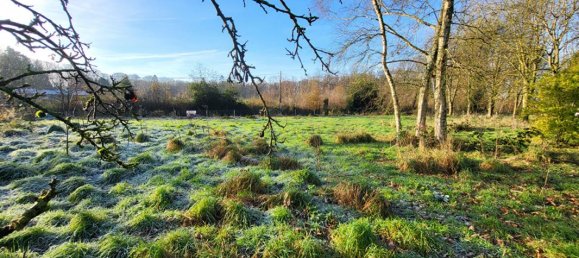 1-salle Terrain à Pommera, France No. 50761 8