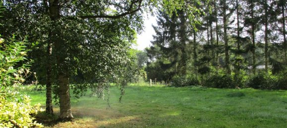 1-salle Terrain à Pommera, France No. 50761 3