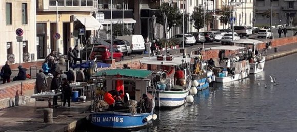 3 rooms Apartment in Viareggio, Italy No. 227885 24