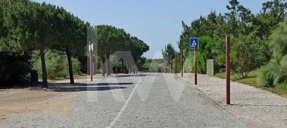 5 bedrooms Villa in Grandola, Portugal No. 90125 17