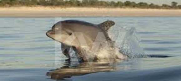 5 bedrooms Villa in Grandola, Portugal No. 90125 21