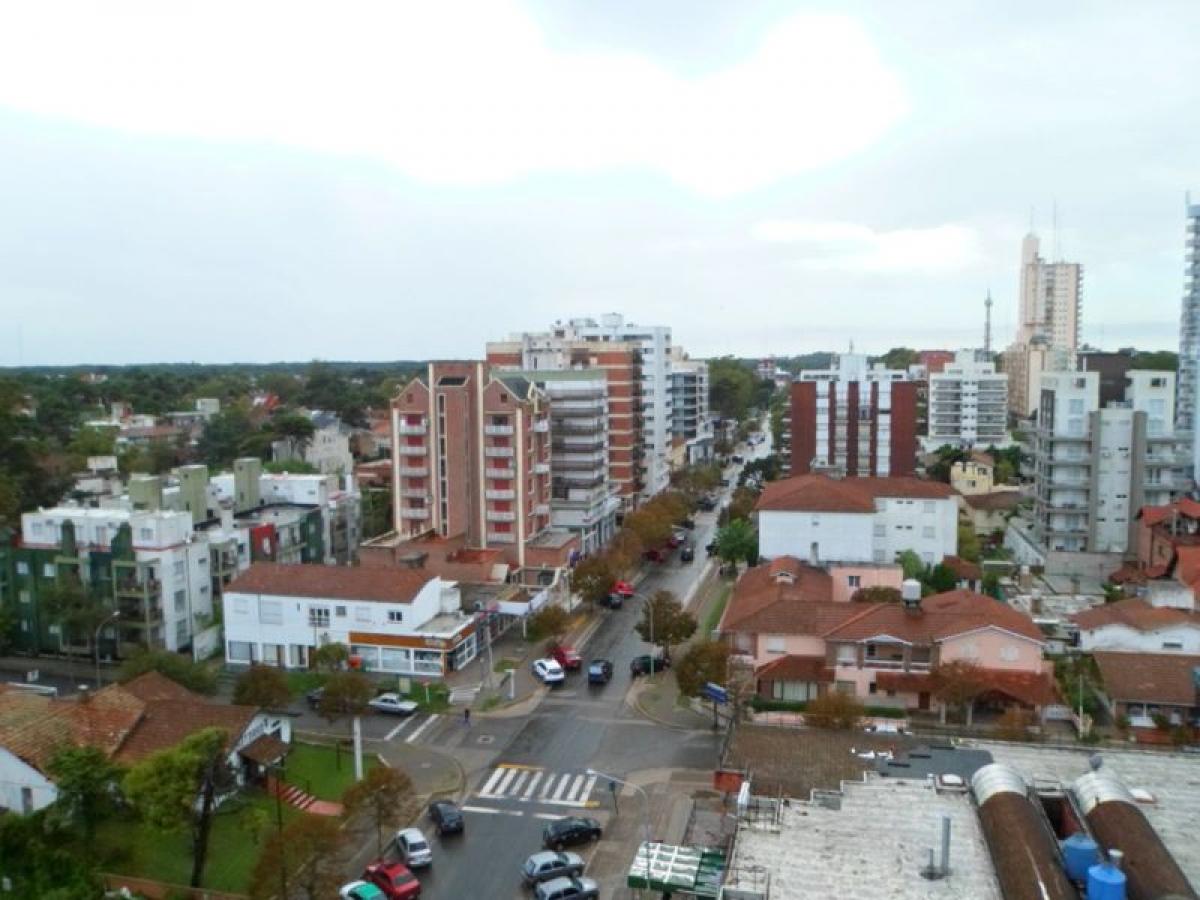 Estudio en Mar del Plata, Argentina No. 66347