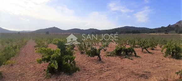 40000m² Land in Abanilla, Spain No. 108044 12