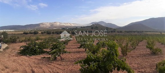 40000m² Land in Abanilla, Spain No. 108044 23