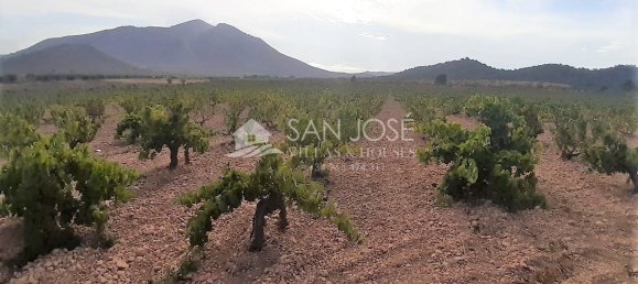 40000m² Land in Abanilla, Spain No. 108044 9