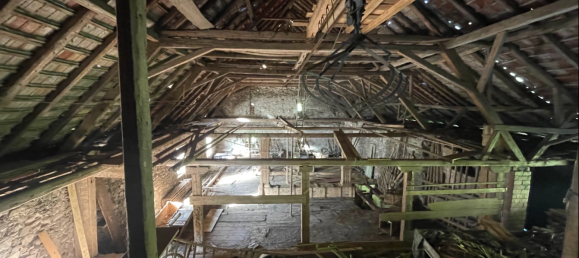 12 rooms Farm in Waldshut, Germany No. 356568 3